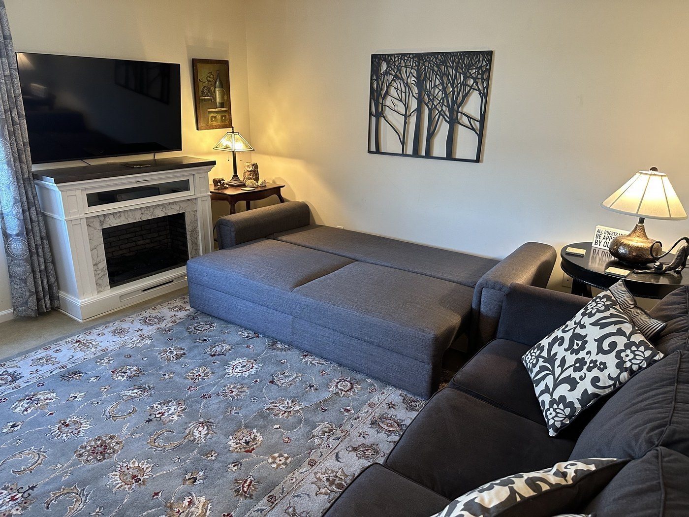 Meadowview living room with smart TV