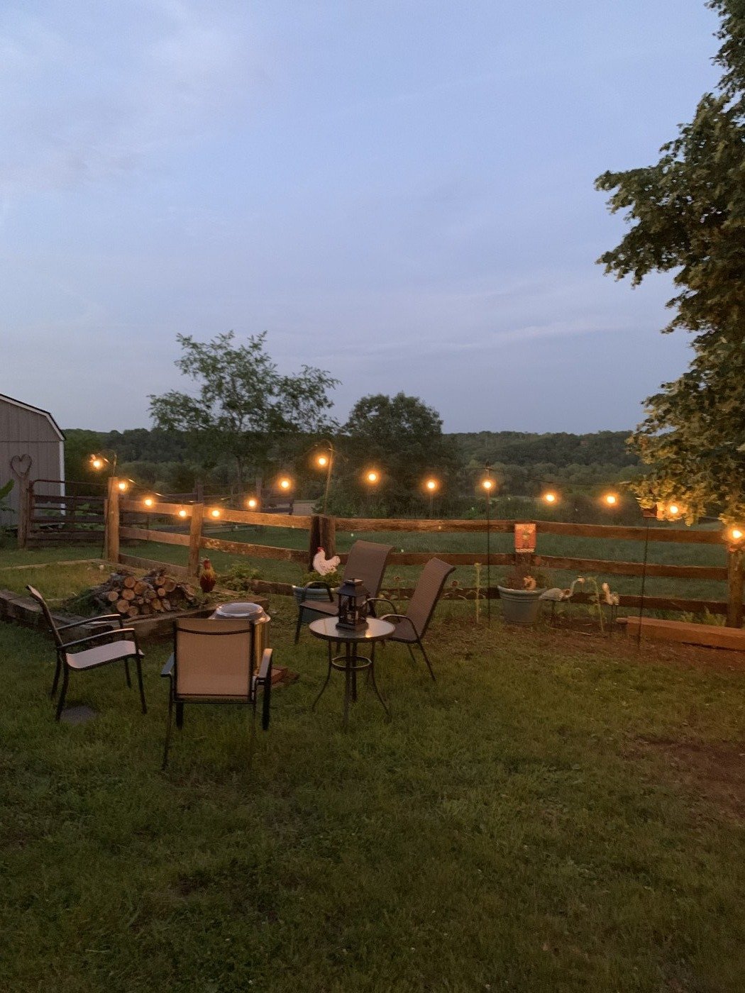 Backyard seating area with string lights under large tree