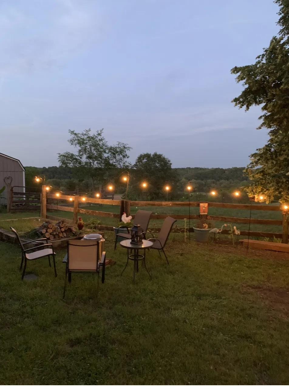 Patio string lights at dusk with pasture views